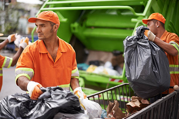 Debris Removal in Vero Lake Estates, FL